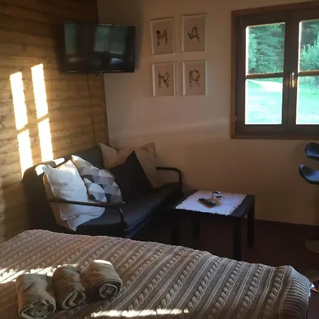 Apartment Gucevski Pogled - Banja Koviljaca *